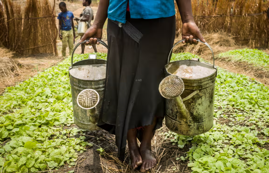 The Guardian - Malawi child labour case